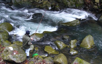 Niizaki-gawa Kokusai Yamame Masu Tsuriba (mountain stream fishing)