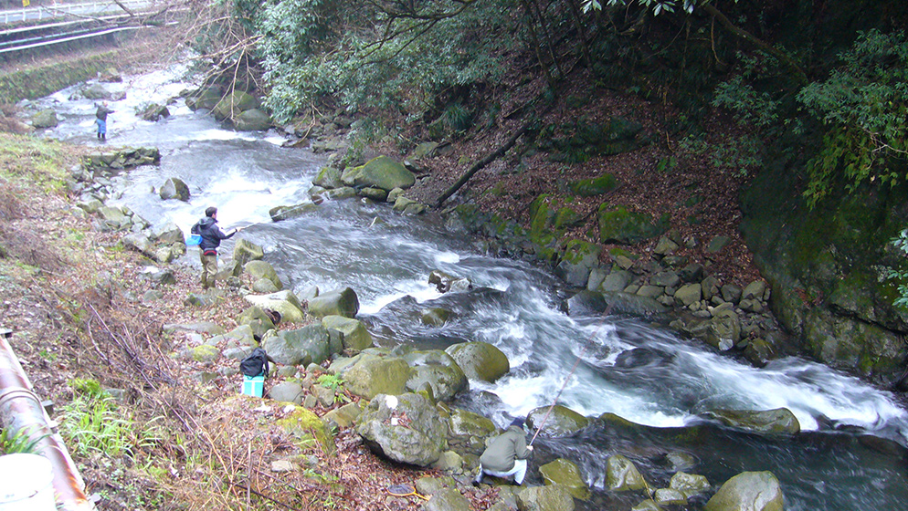 Niizaki-gawa Kokusai Yamame Masu Tsuriba (mountain stream fishing)
