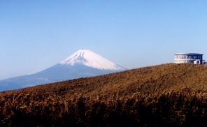 The Tenshozan & Momiji-no-sato Hiking Course