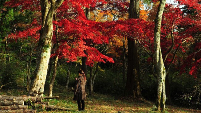 The Tenshozan & Momiji-no-sato Hiking Course